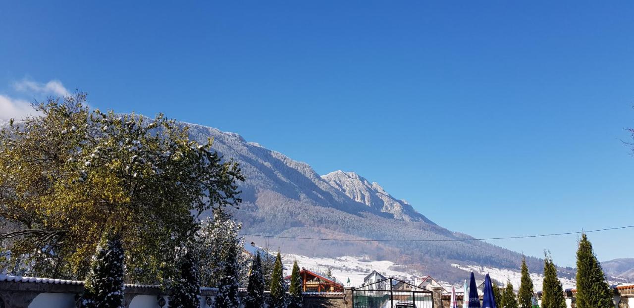 Pensiunea Casa Zarnesteana Zărneşti Exterior foto