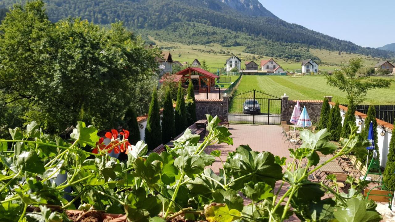 Pensiunea Casa Zarnesteana Zărneşti Exterior foto