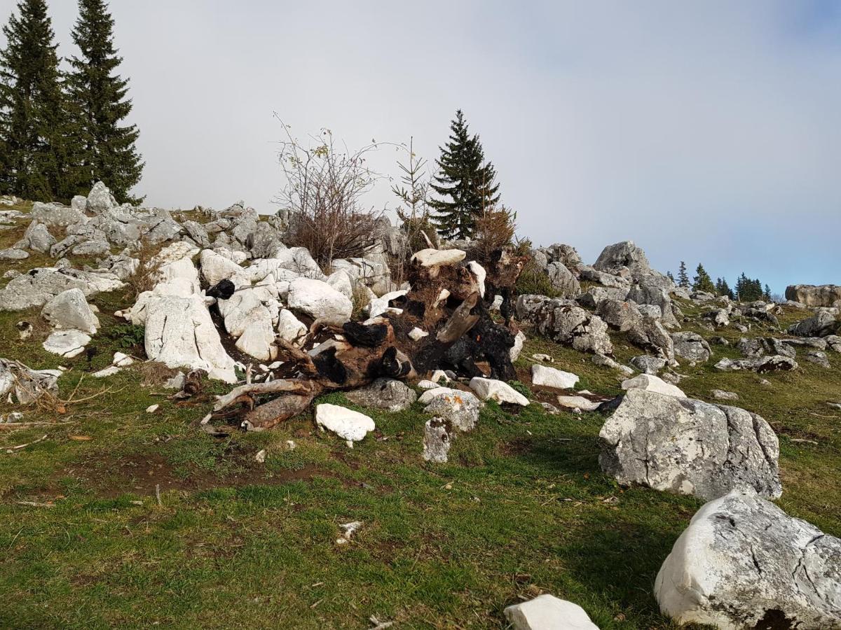 Pensiunea Casa Zarnesteana Hotel Zărneşti Exterior foto