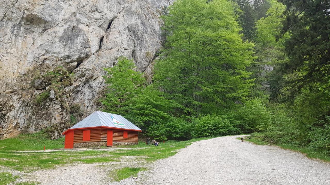 Pensiunea Casa Zarnesteana Hotel Zărneşti Exterior foto