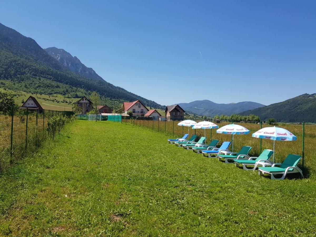 Pensiunea Casa Zarnesteana Zărneşti Exterior foto