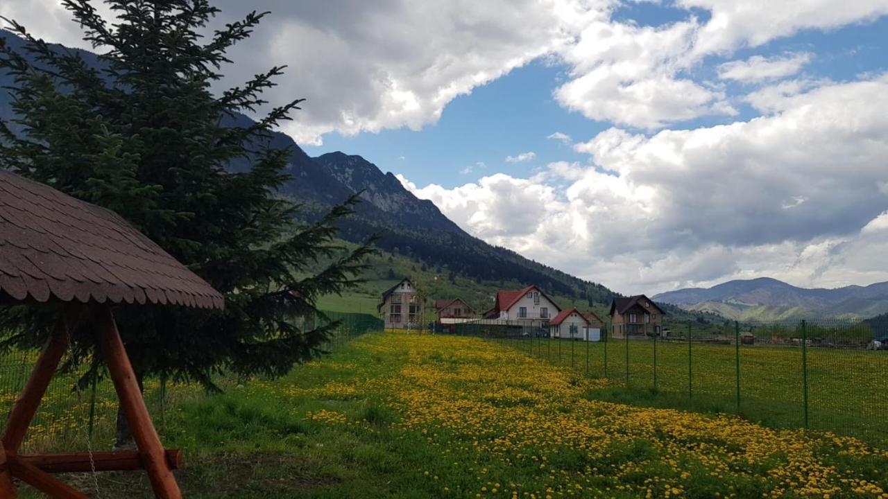 Pensiunea Casa Zarnesteana Zărneşti Exterior foto