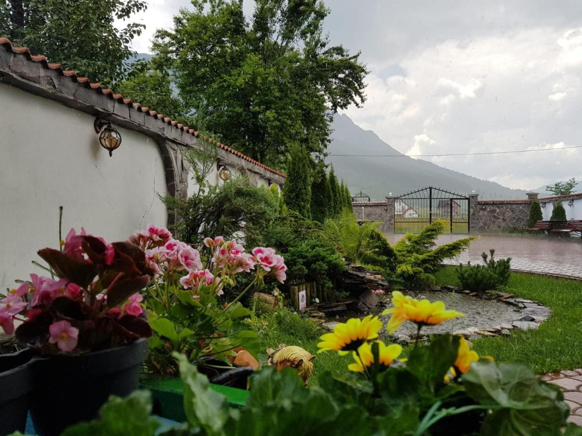 Pensiunea Casa Zarnesteana Zărneşti Exterior foto